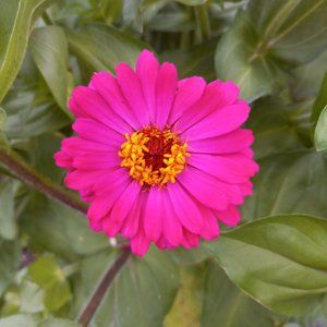 Meet your Posher,Sarah